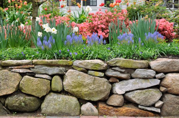 Stone Wall Hardscaping in Staten Island