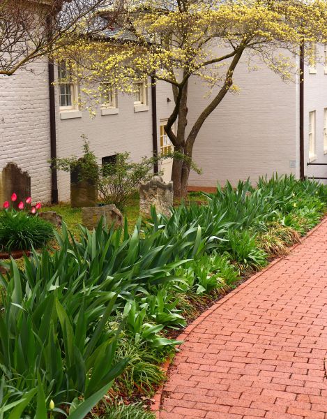 Brick Flatwork Repair in Staten Island